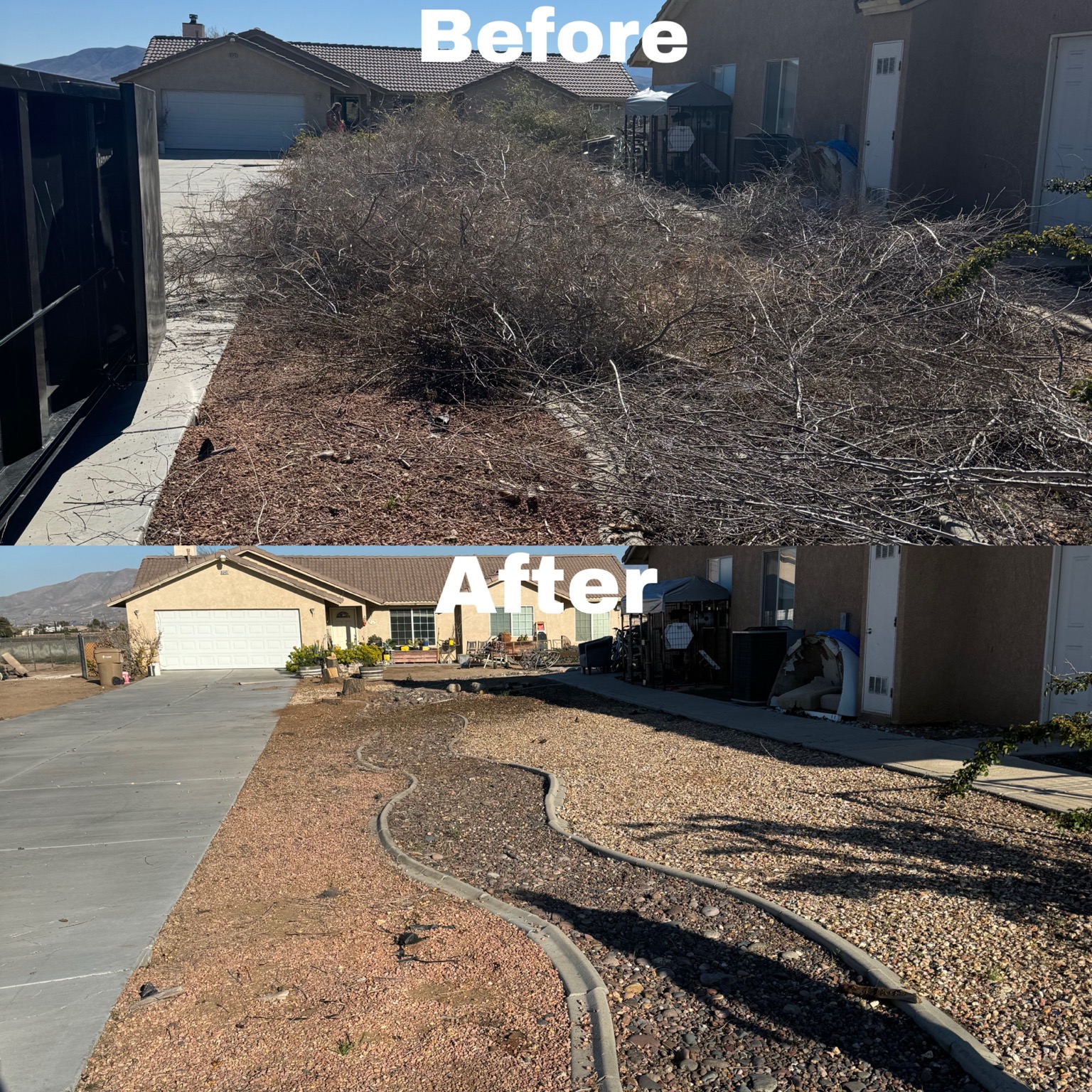 Before and after large brush cleanup by Roll N Haul